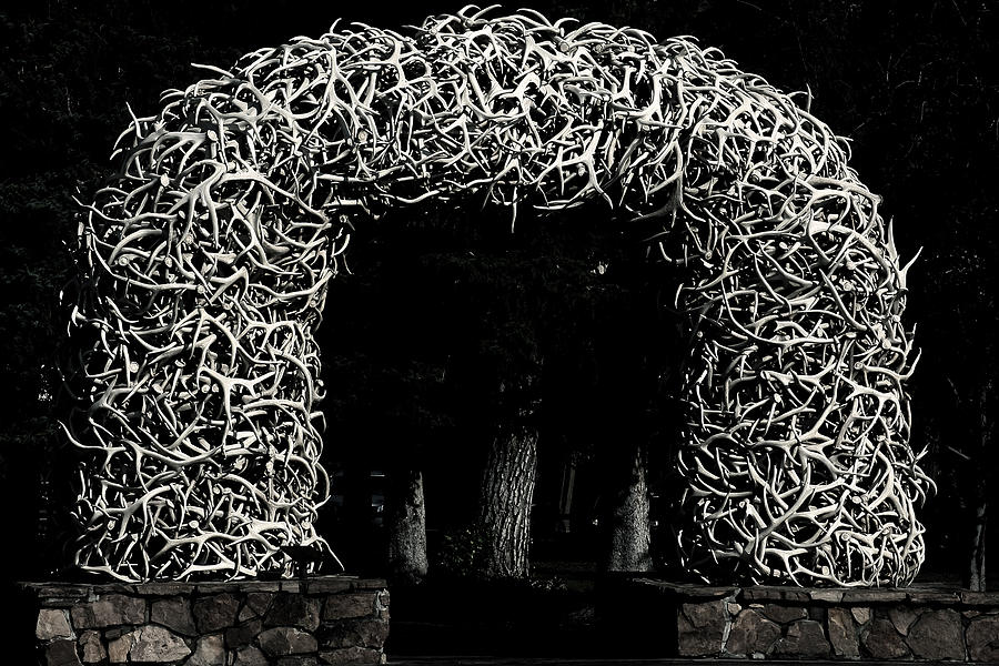 Elk Antlers Gate Jackson Hole WY #1 Photograph by Alexandra Till