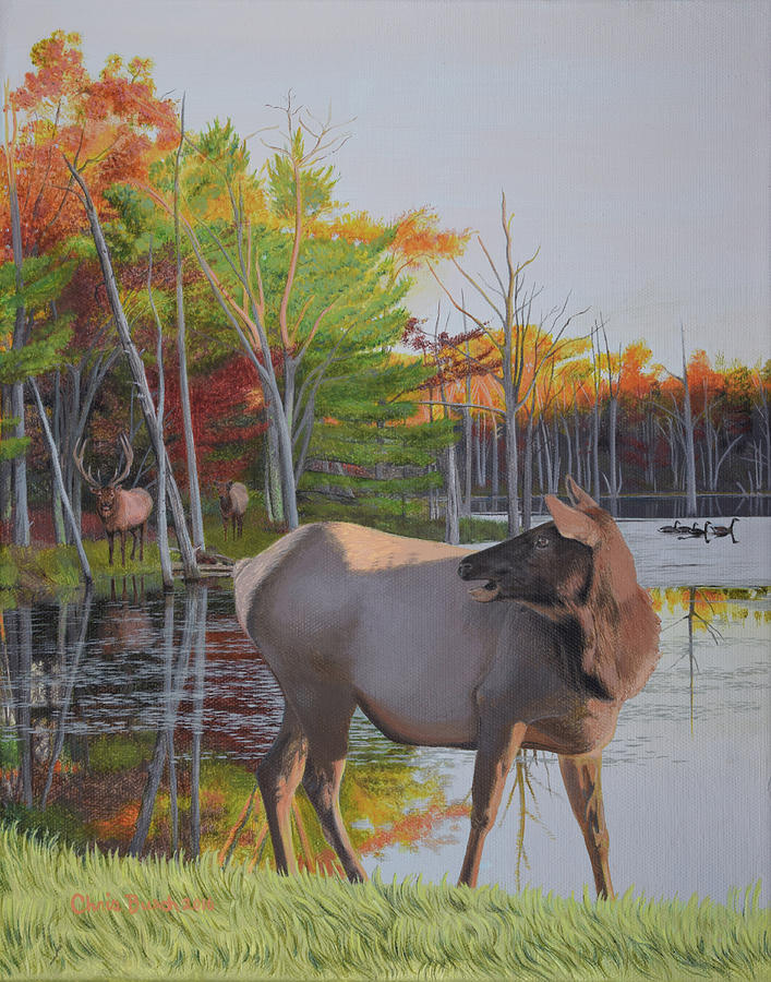 Elk Country Evening Painting by Chris Busch