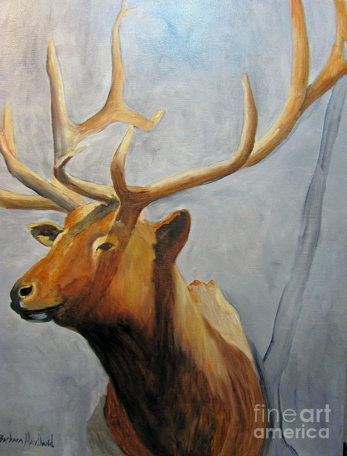 Elk Trophy #1 Painting by Barbara Haviland