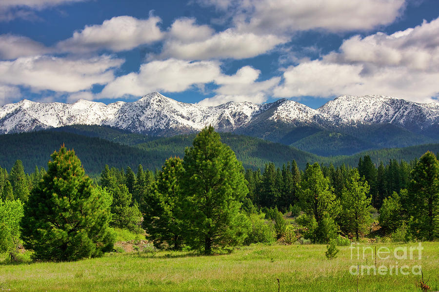Elkhon mountain range in eastern Oregon Photograph by Bruce Block