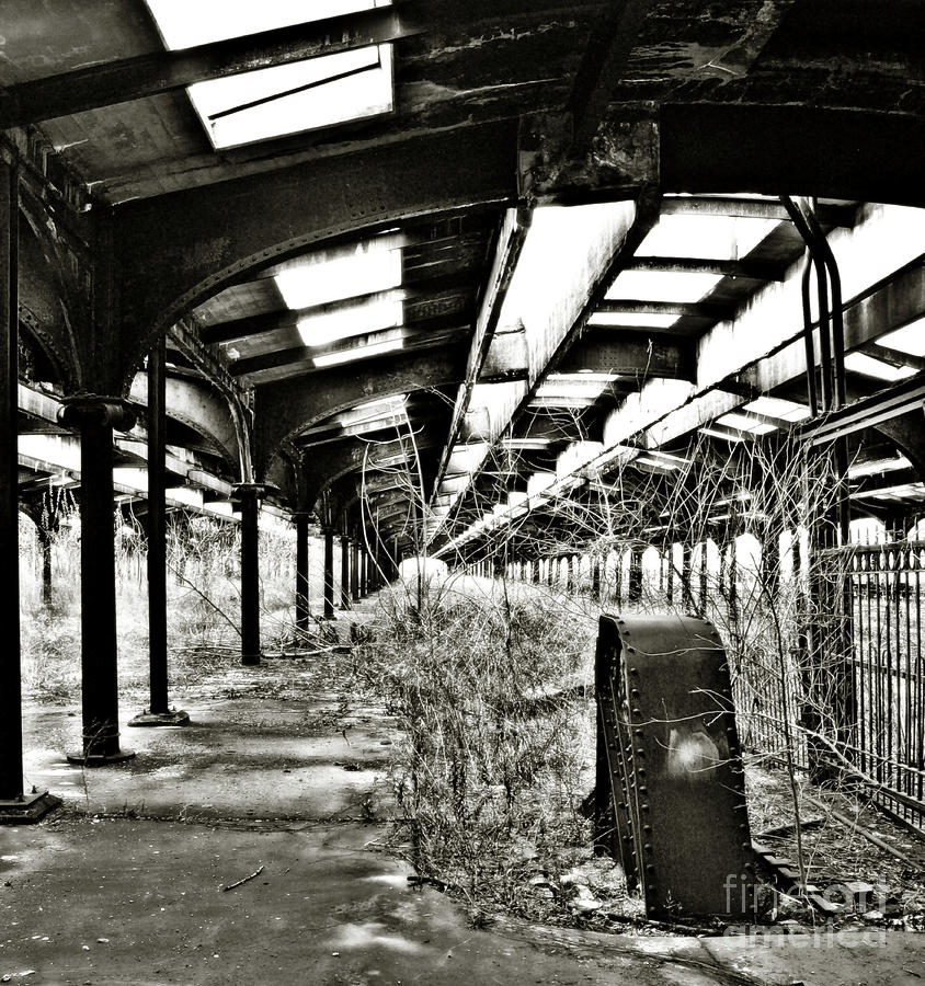 Ellis Island  #1 Photograph by Raymond Earley