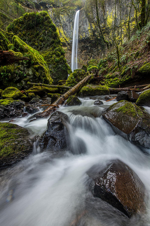 Waterfall Photograph - Columbia Gorge Elowah Falls Oregon by Rick Dunnuck