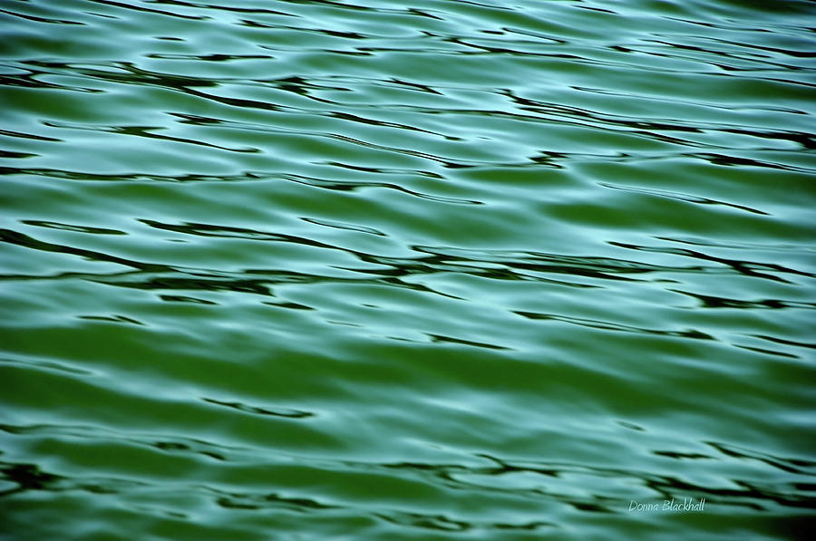 Emerald Sea Photograph by Donna Blackhall
