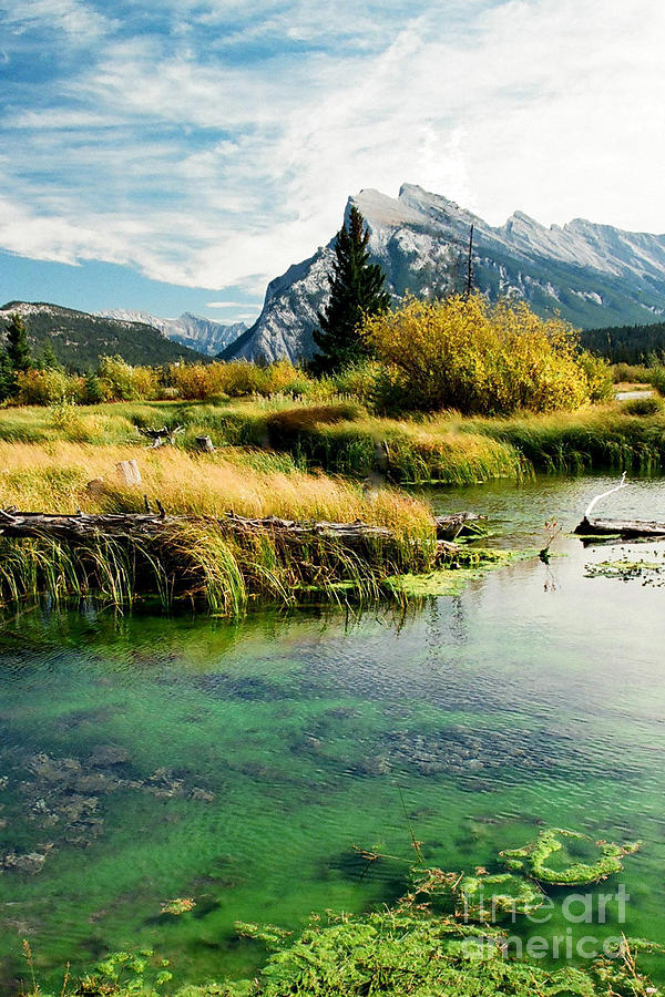 Banff National Park Photograph - Emerald waters #3 by Frank Townsley