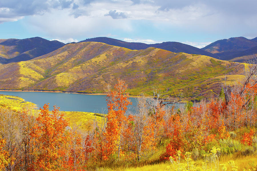 Emigration Canyon Photograph by Todd Mitchell Fine Art America