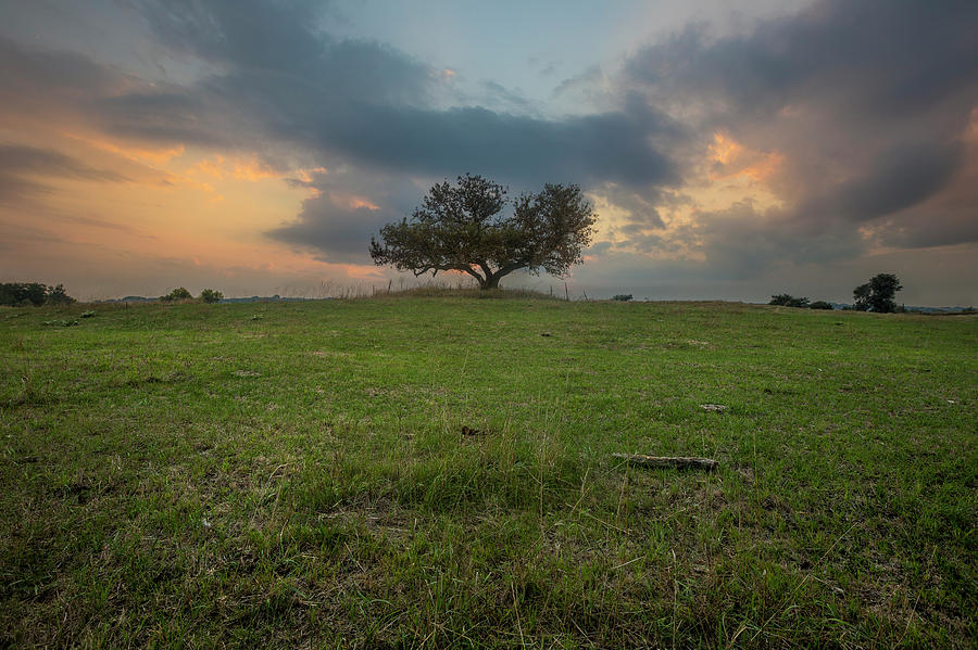 Eminija  #1 Photograph by Aaron J Groen