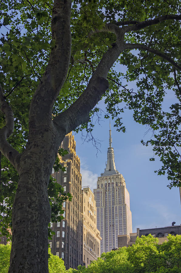 Empire State Building Photograph by Marianne Campolongo
