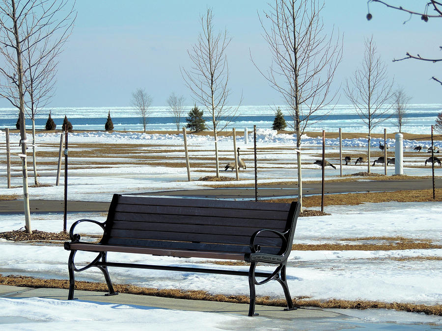 Empty Bench In Winter Photograph