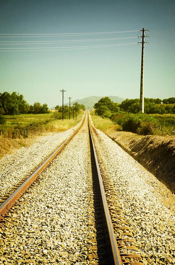 Transportation Photograph - Empty Railway #1 by Carlos Caetano