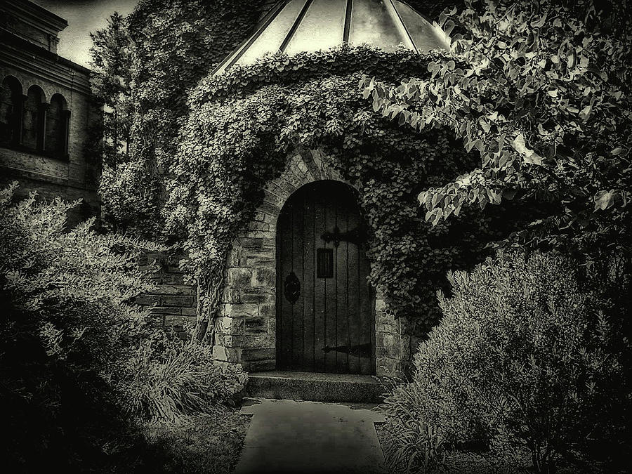 Black And White Photograph - Enchanted Garden #1 by James DeFazio