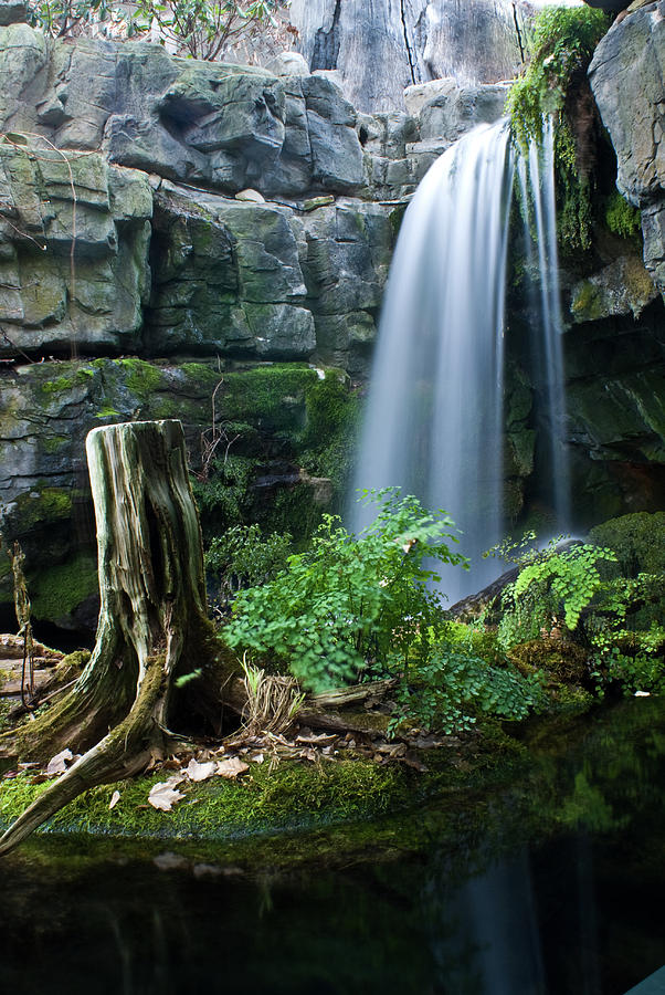 Enchanted Waterfall #1 Photograph by Douglas Barnett