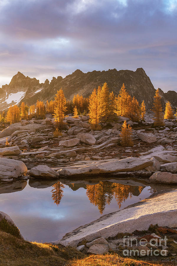 Enchantments Golden Fall Colors #1 Photograph by Mike Reid
