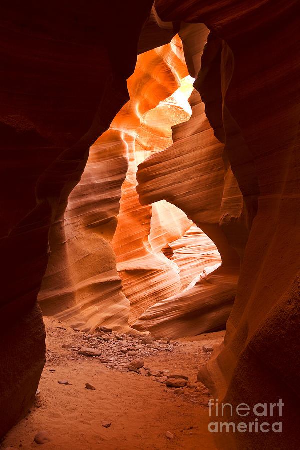 End Of The Tunnel Light Photograph By Greg Clure | Fine Art America