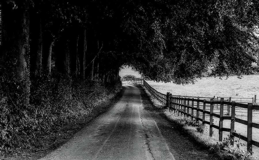 English Country Lane #1 Photograph by Mountain Dreams