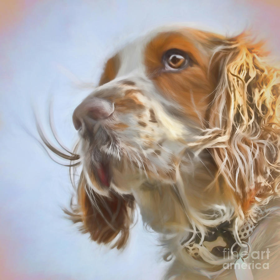 Dog Mixed Media - English Springer Spaniel  #1 by Linsey Williams