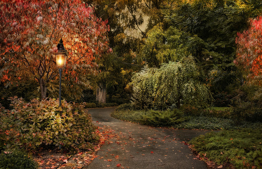 Fall Photograph - Enter Autumn #1 by Robin-Lee Vieira
