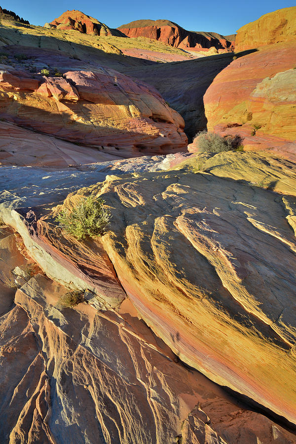 Entering Pastel Canyon in Valley of Fire State Park #1 Photograph by Ray Mathis