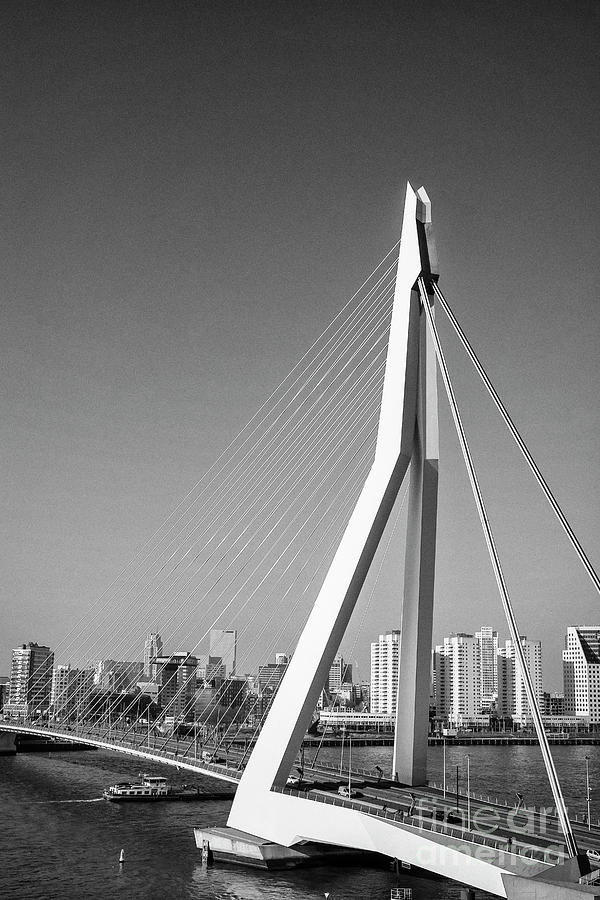 Erasmus bridge in Rotterdam in black and white Photograph by Patricia Hofmeester