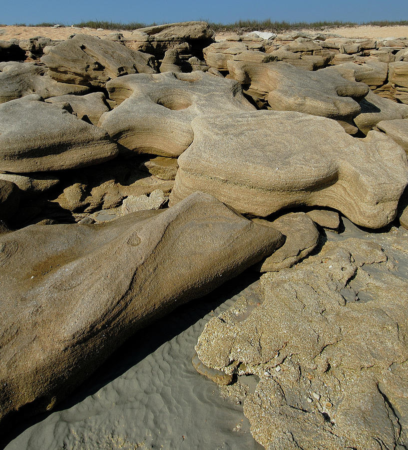 Eroded beach rocks. #1 Photograph by David Campione