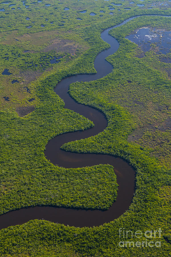 Everglades Aerial #1 Photograph by Juan Carlos Muoz