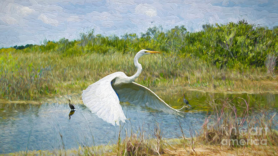 Everglades Impressions Painting by Judy Kay