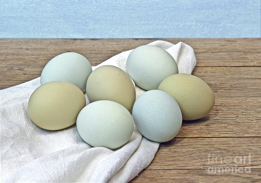 Exotic Colored Chicken Eggs #1 Photograph by Pattie Calfy