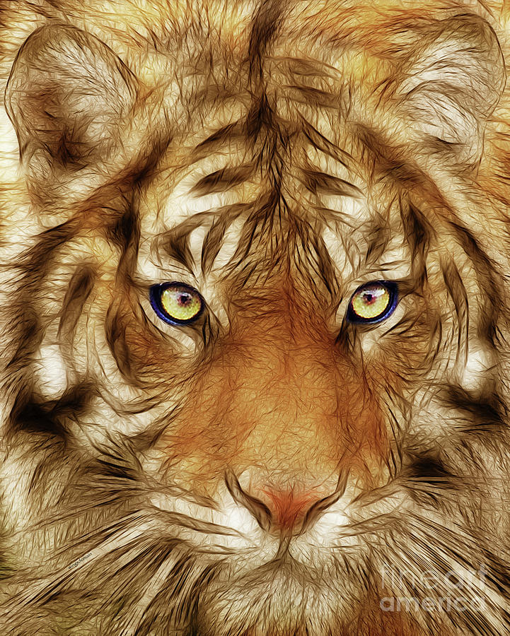 Eye of The Tiger #1 Photograph by Wingsdomain Art and Photography