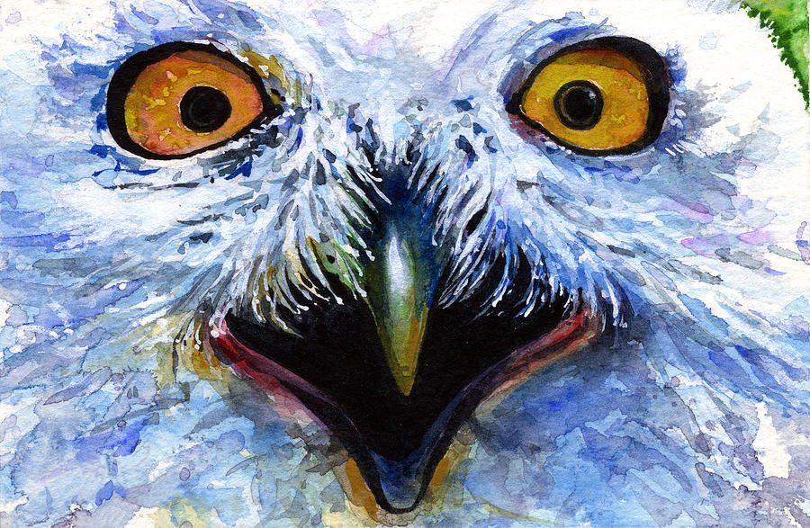 Eyes of Owls No. 15 Painting by John D Benson