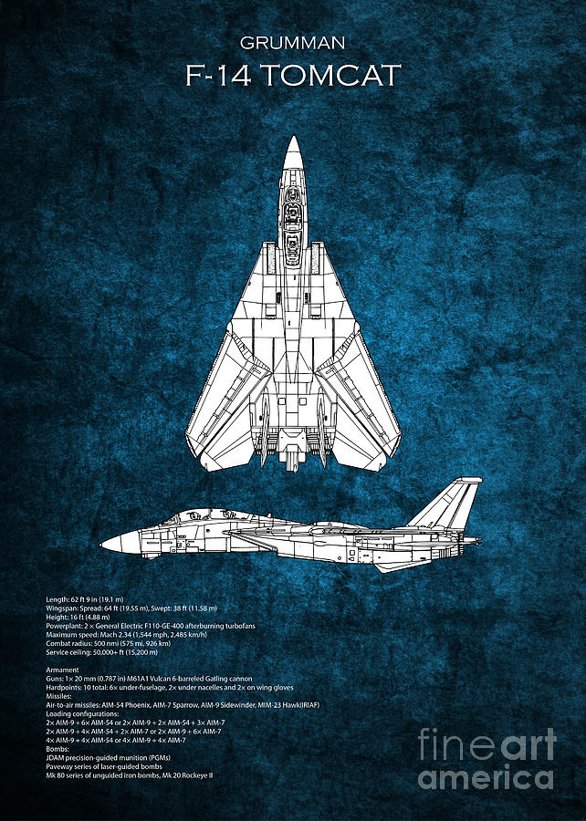 F-14 TOmcat Blueprint Digital Art by Airpower Art