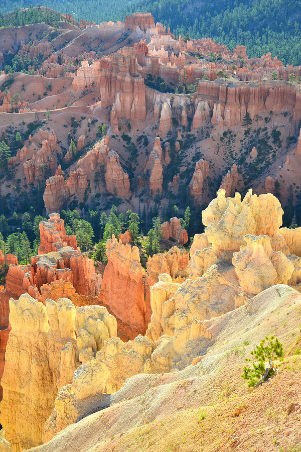 Fairy Castle Hoodoos #2 Photograph by Ray Mathis