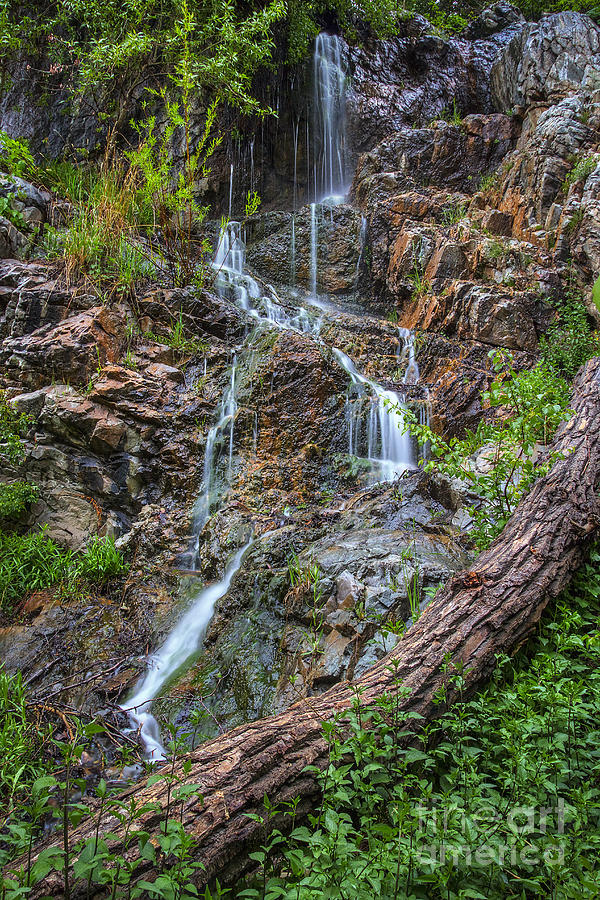 Fairy Falls Photograph by Spencer Baugh