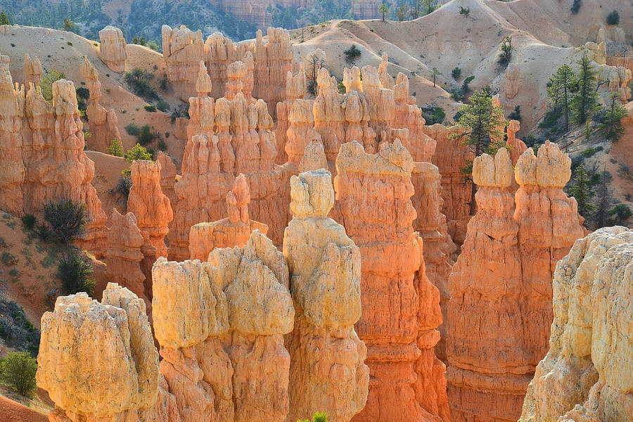 Fairyland Canyon #6 Photograph by Ray Mathis