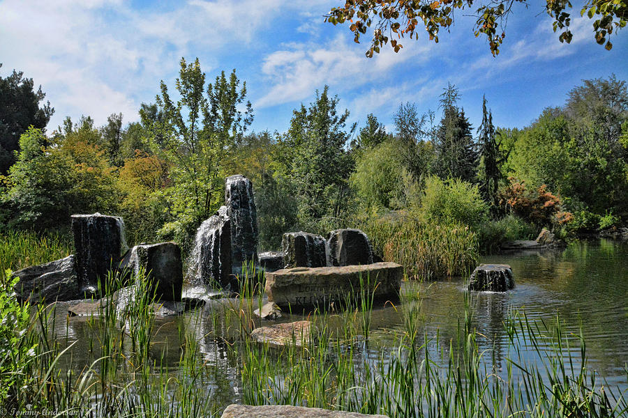 Fall at Kate Albertson Park Photograph by Tommy Anderson