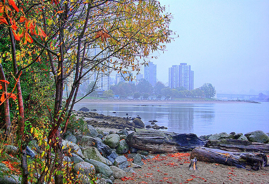 Fall at Stanley Park #1 Photograph by Dale Stillman