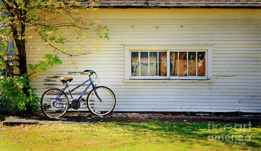 Fall Bicycle of Laramie #1 Photograph by Craig J Satterlee