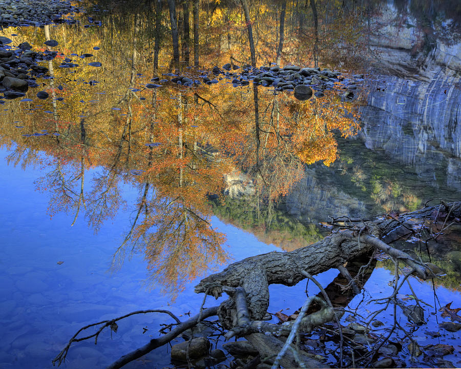 Fall Color at Big Bluff Photograph by Michael Dougherty