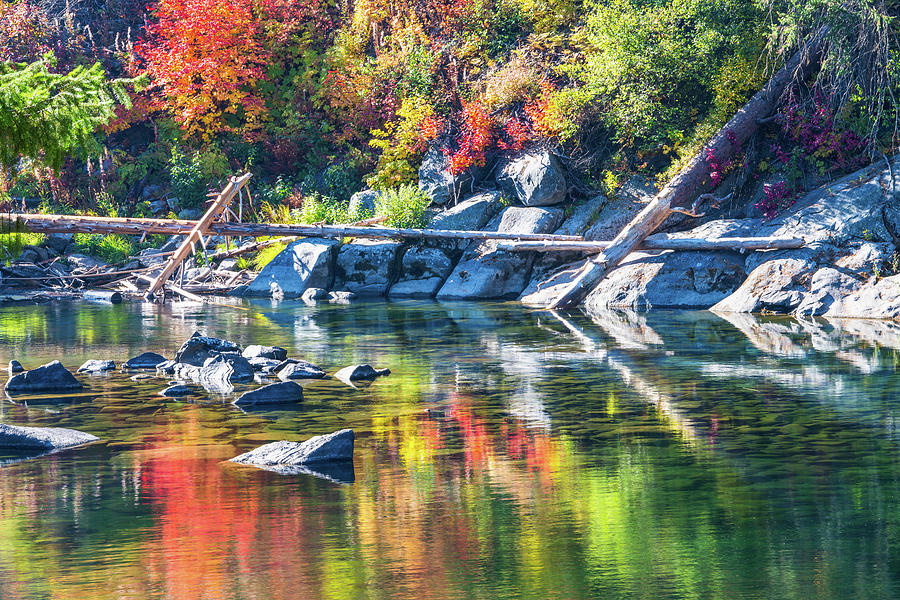 Fall color reflection #1 Photograph by Hisao Mogi