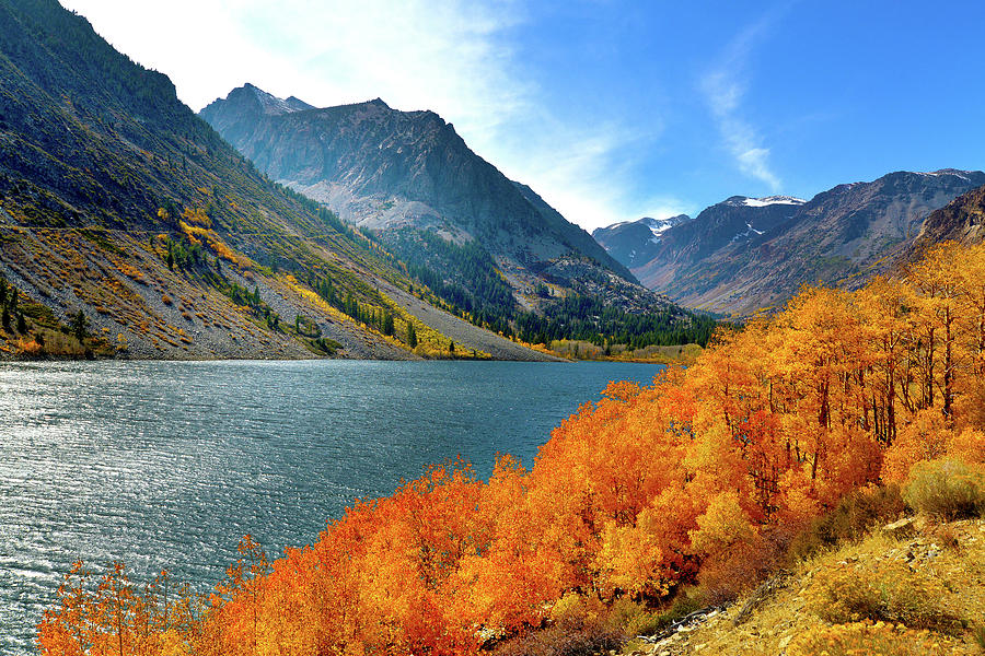 Fall Color #5 Photograph by Surjanto Suradji - Fine Art America