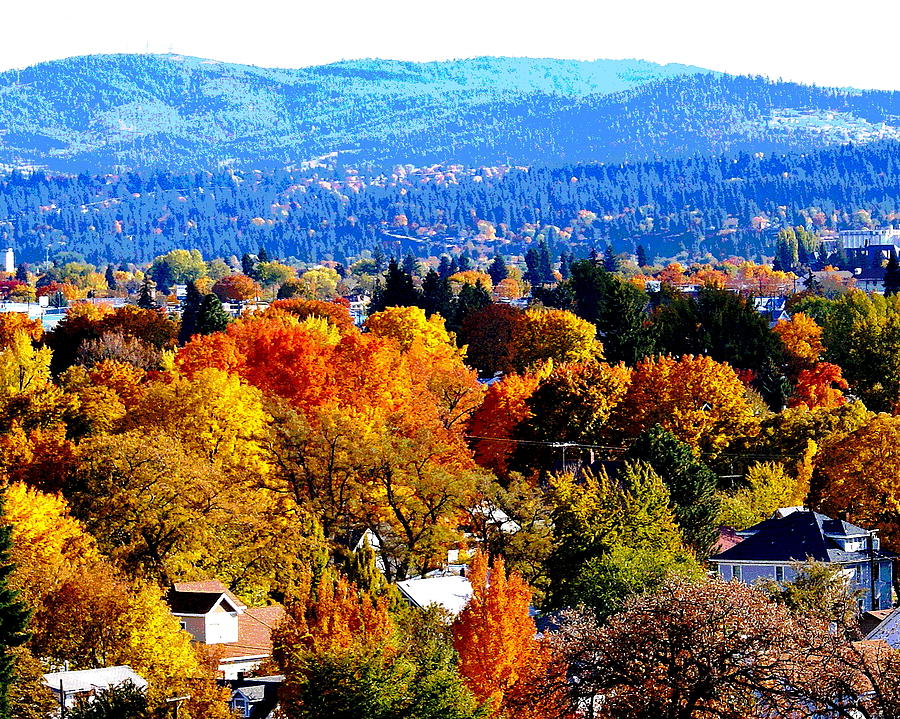 Spokane Photograph - Fall Colors in Spokane #1 by Ben Upham III