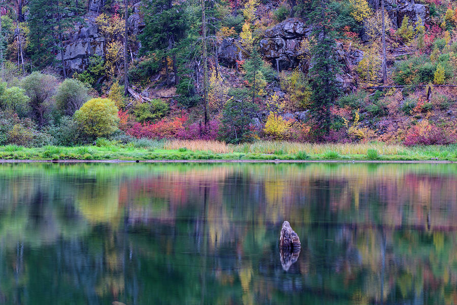 Fall Colors in Tumwater Canyon, WA #1 Digital Art by Michael Lee