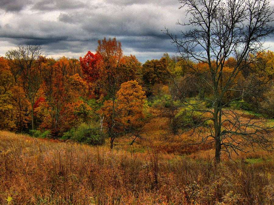 Fall Colors #1 Photograph by Scott Hovind