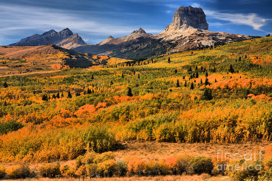 Fall Foliage At Chief Mountain #1 Photograph by Adam Jewell