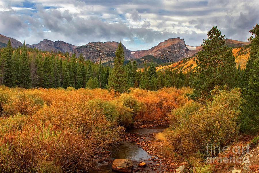 Fall in Rocky Mountain National Park #2 Photograph by Ronda Kimbrow