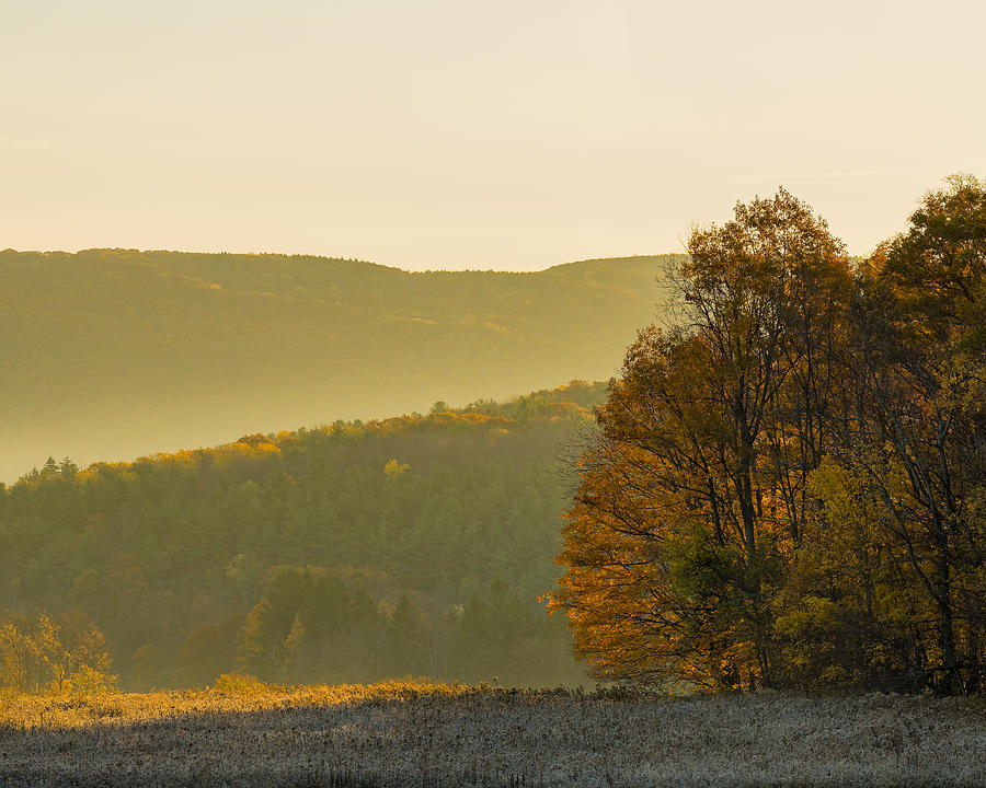 Fall Photograph - Fall Morning by Paul Duncan