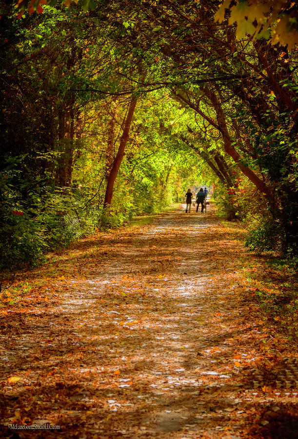 Fall on Macomb Orchard Trail #1 Photograph by LeeAnn McLaneGoetz McLaneGoetzStudioLLCcom