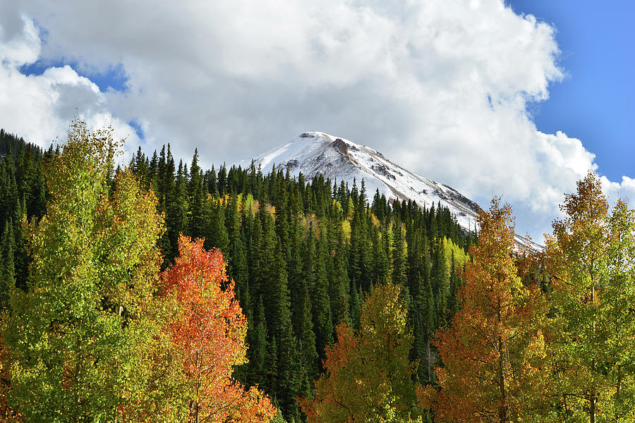 Fall on Red Mountain #1 Photograph by Ray Mathis
