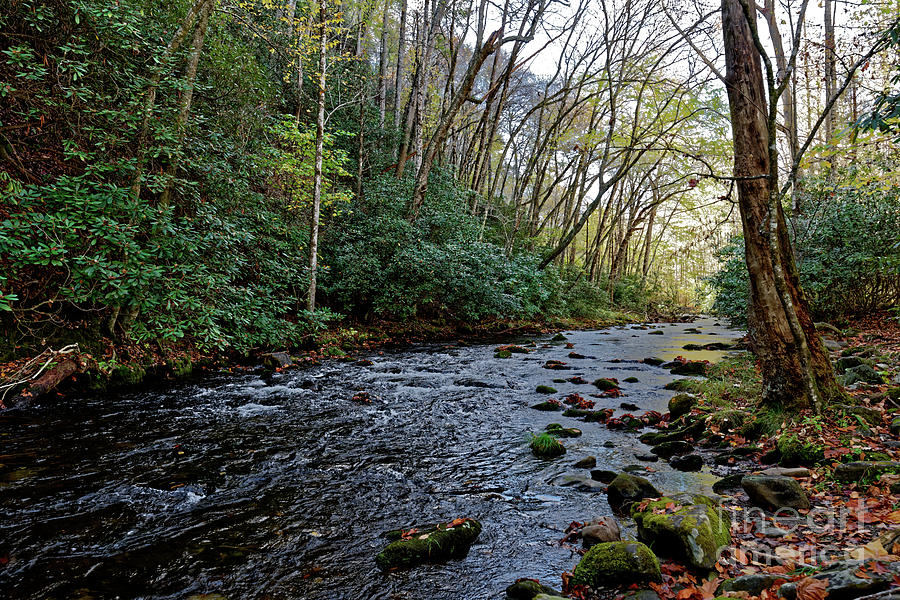 Creek Photograph - Fall On Rough Creek #1 by Paul Mashburn