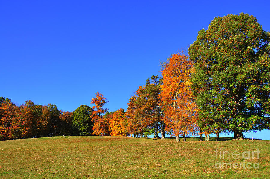 Fall On The Farm Photograph By Thomas R Fletcher - Fine Art America