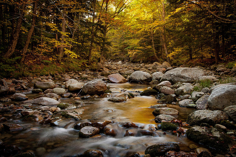 Fall on the Gale River #1 Photograph by Benjamin Dahl