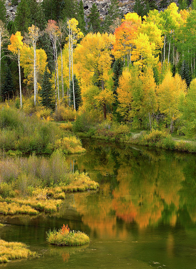 Fall Reflections Two Photograph by Jeff Jewkes | Fine Art America